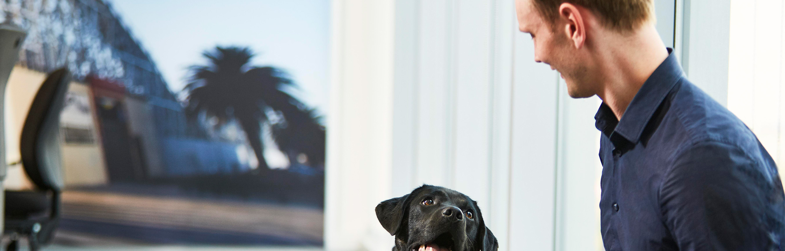 Associate playing with a dog