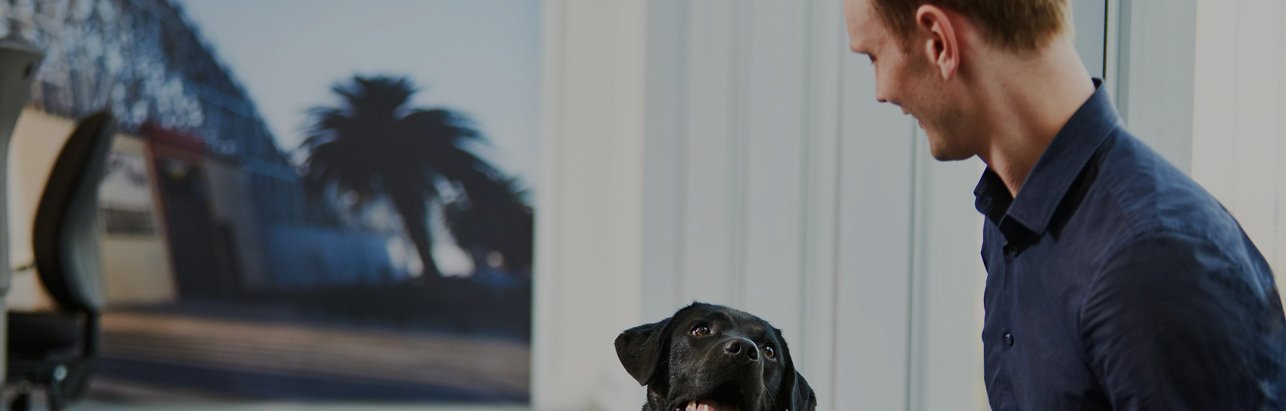 home banner image
