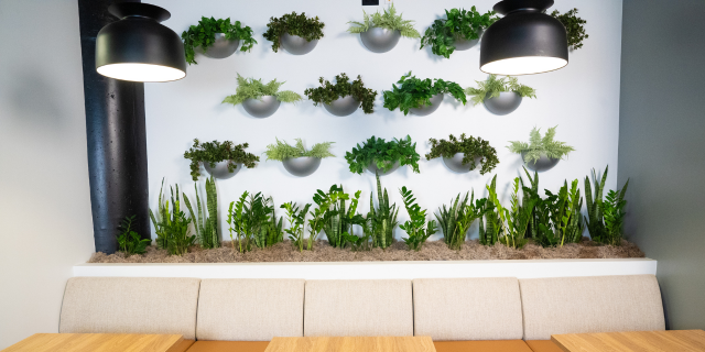 Photo of canteen area with plant wall