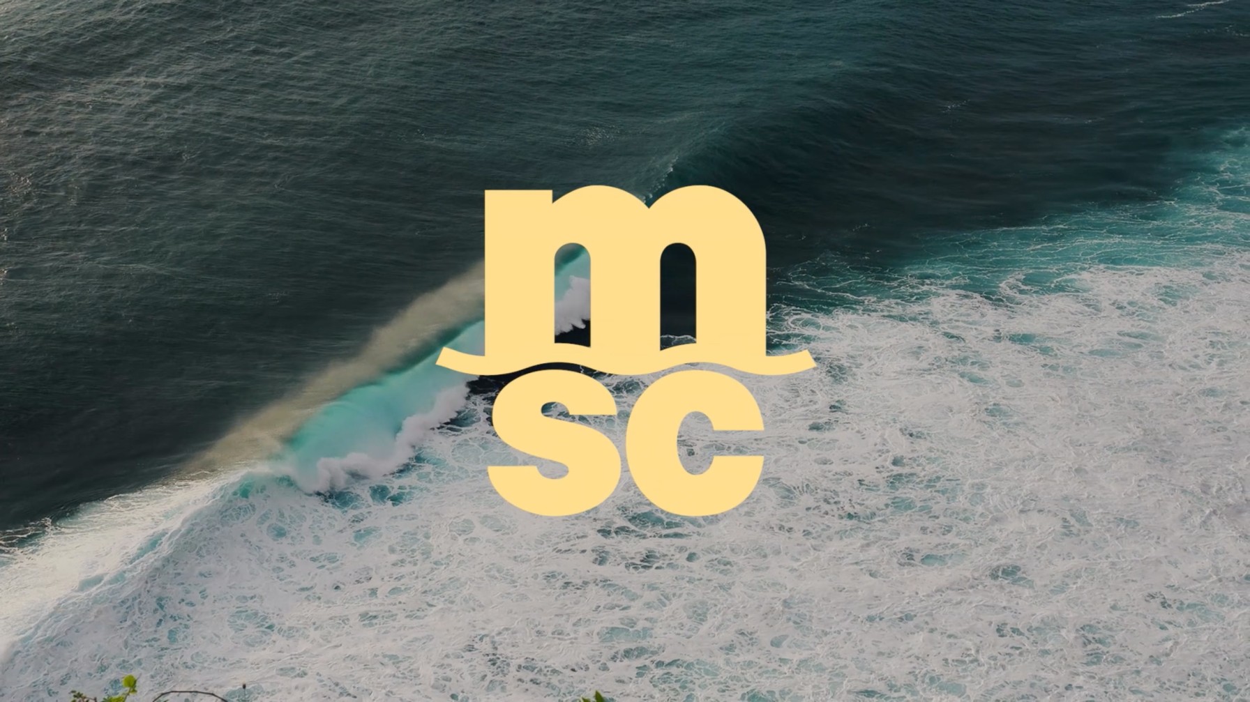 Video highlighting MSC Group’s history.