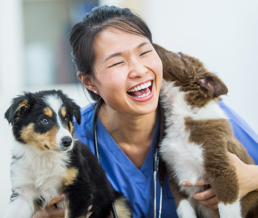 AH Main HP Division Tile