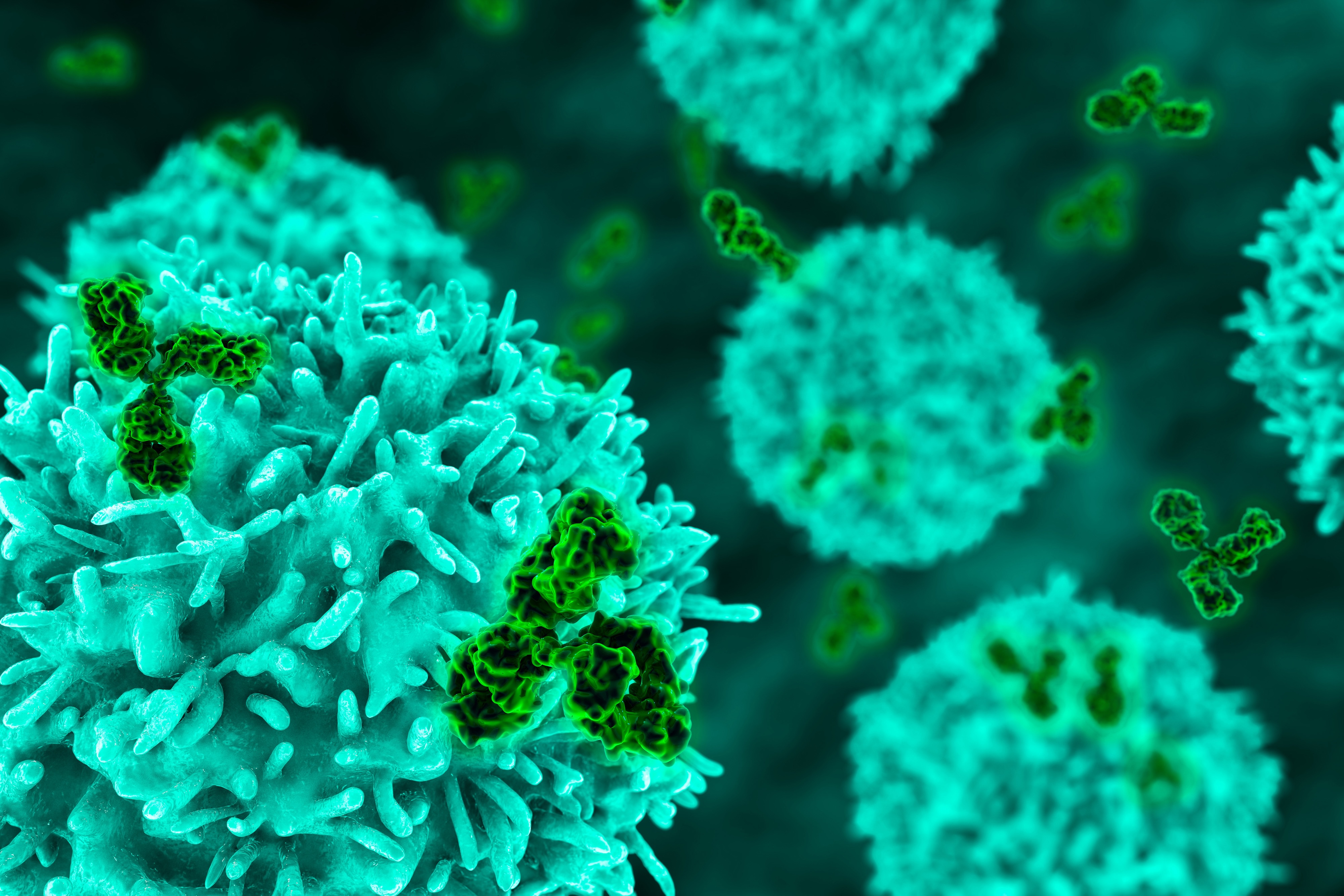 B-cells-and-antibodies_HI1