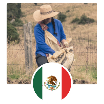 Thrivingcommunities-Juntosmexico