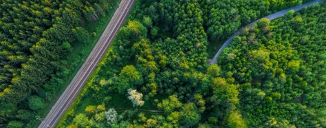 Road in Germany surrounded by trees