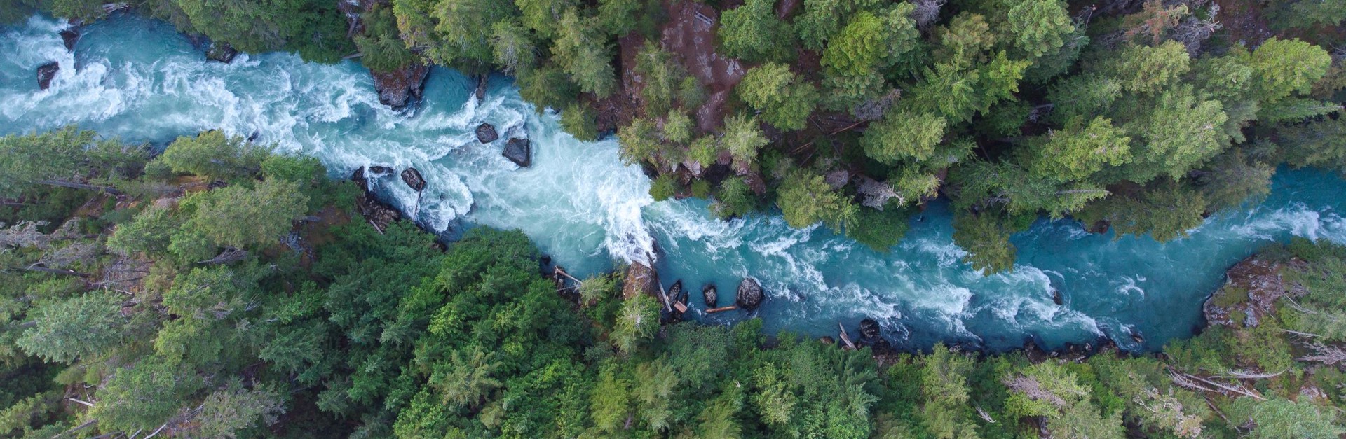 Une rivière entre deux forêts 