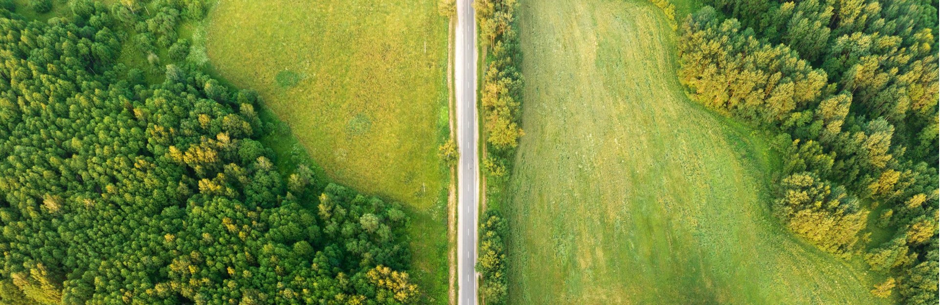 Vue aérienne d’une route avec des arbres et des champs de chaque côté 