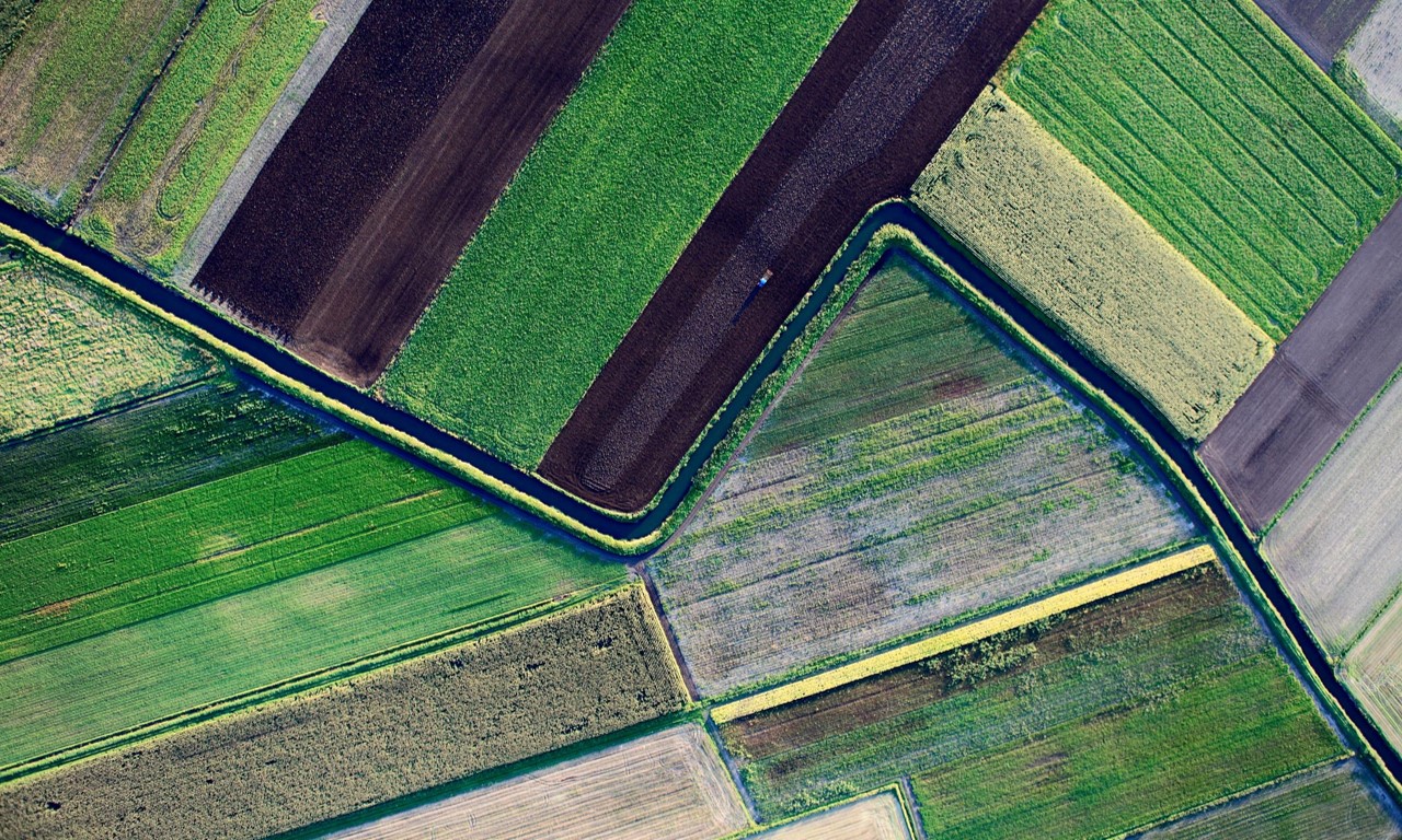 Aerial view of cultivated field