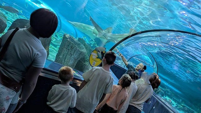 55015202917_632735ed91_z