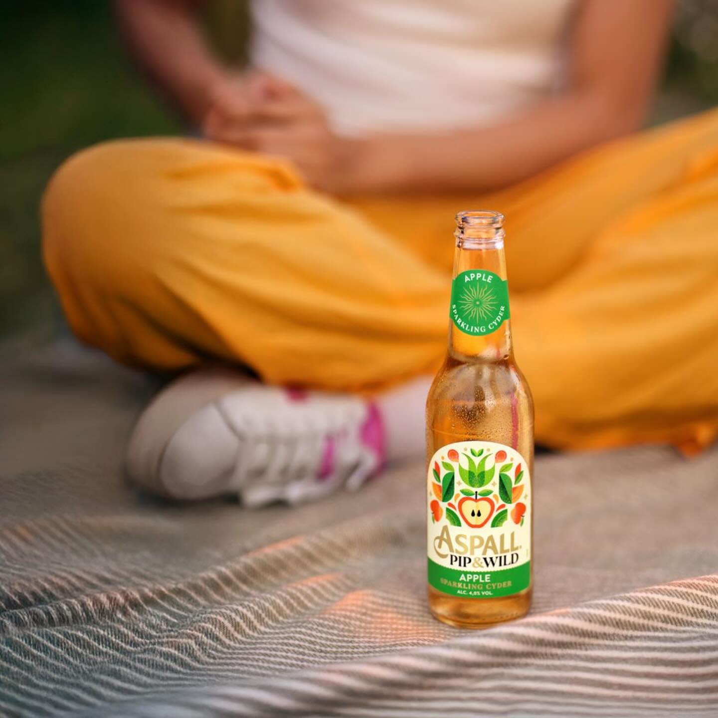 484356526_17851062477419238_5059935480454796609_n