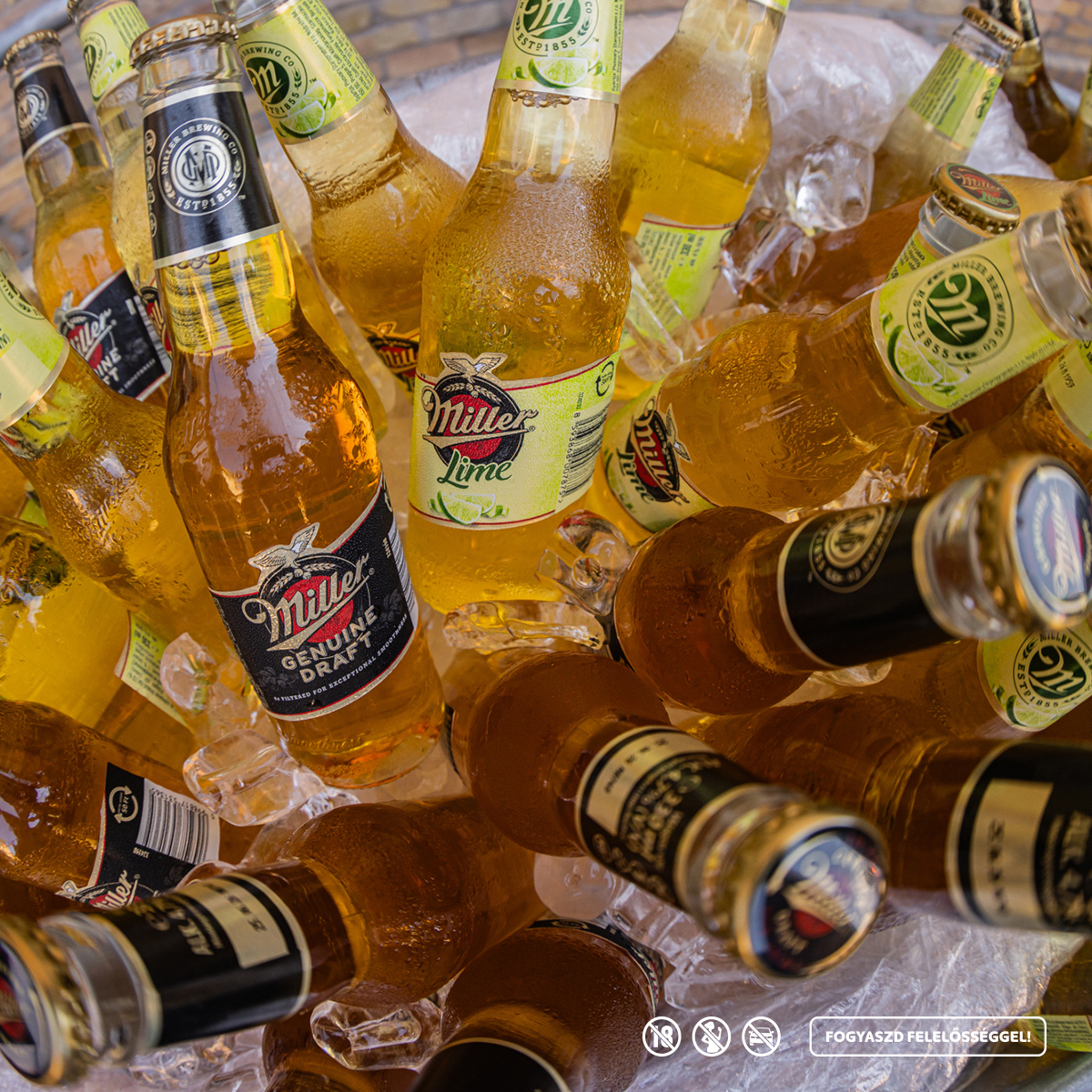 553640442_1252892553540230_5754694079630145472_n