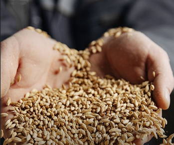 Képernyőkép2026-01-21155551