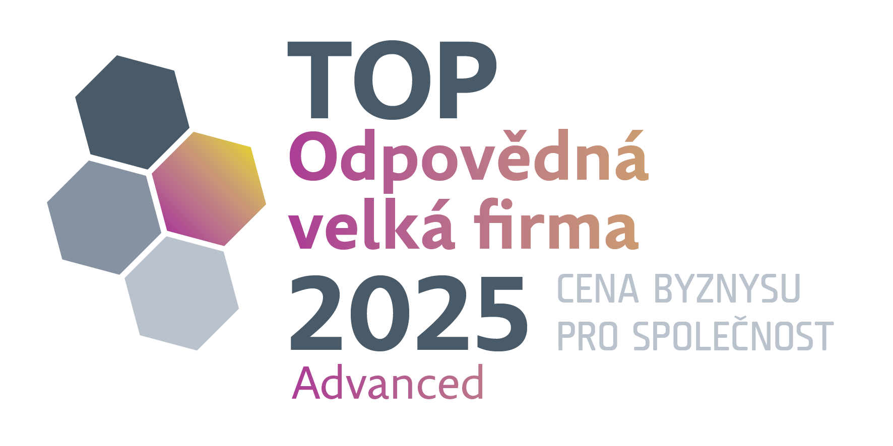 TOPOF2025-Velka-firma-Advanced