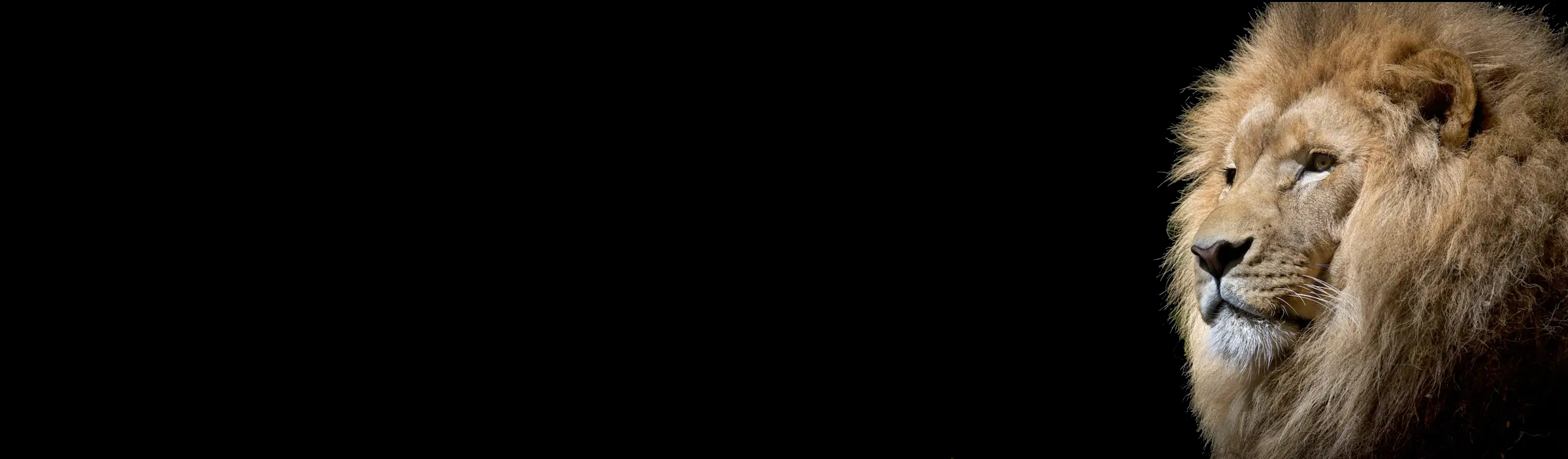 Large Event With People