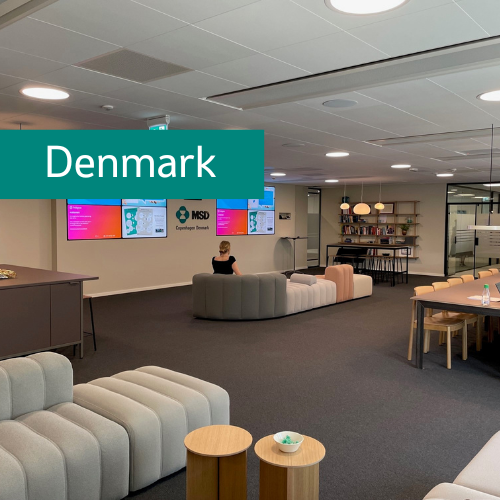 Denmark site collaboration space