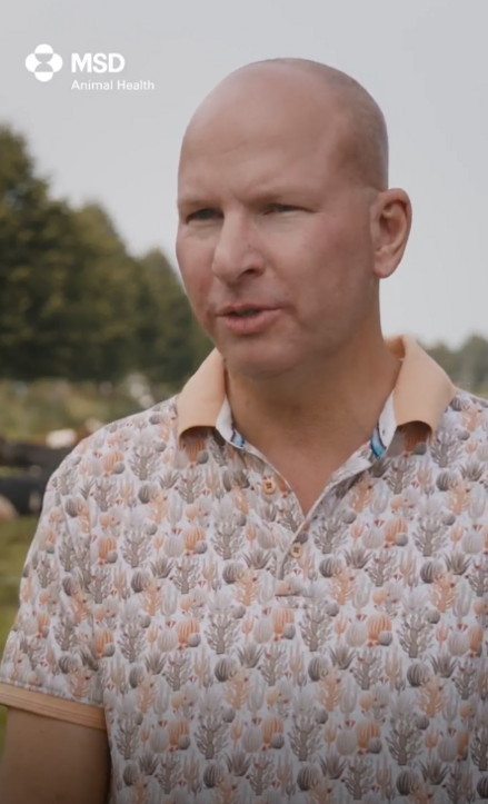 Dierenwens