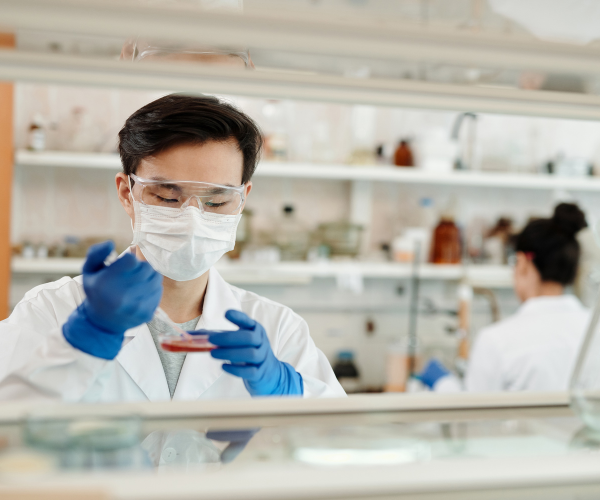 Postdoctoral Fellow In Nanomedicine Opportunity At UNSW In Sydney 