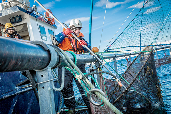 MSD-EuramAqua_600x400