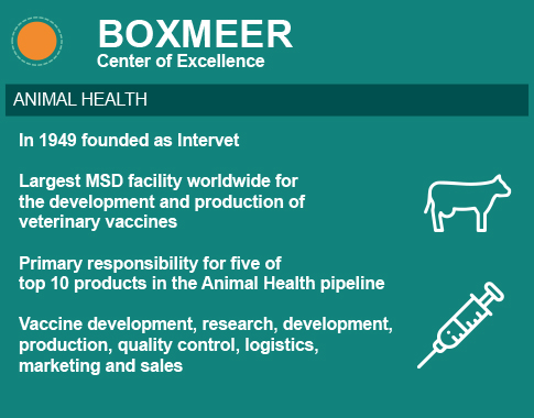 Join Our Vaccines Team Msd Careers