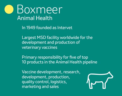 Join Our Team At Msd Boxmeer Msd Careers