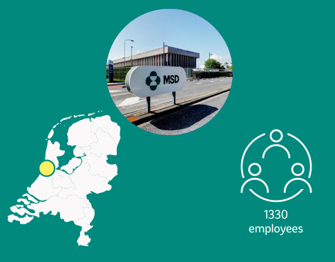 Welcome To Msd Netherlands Msd Careers