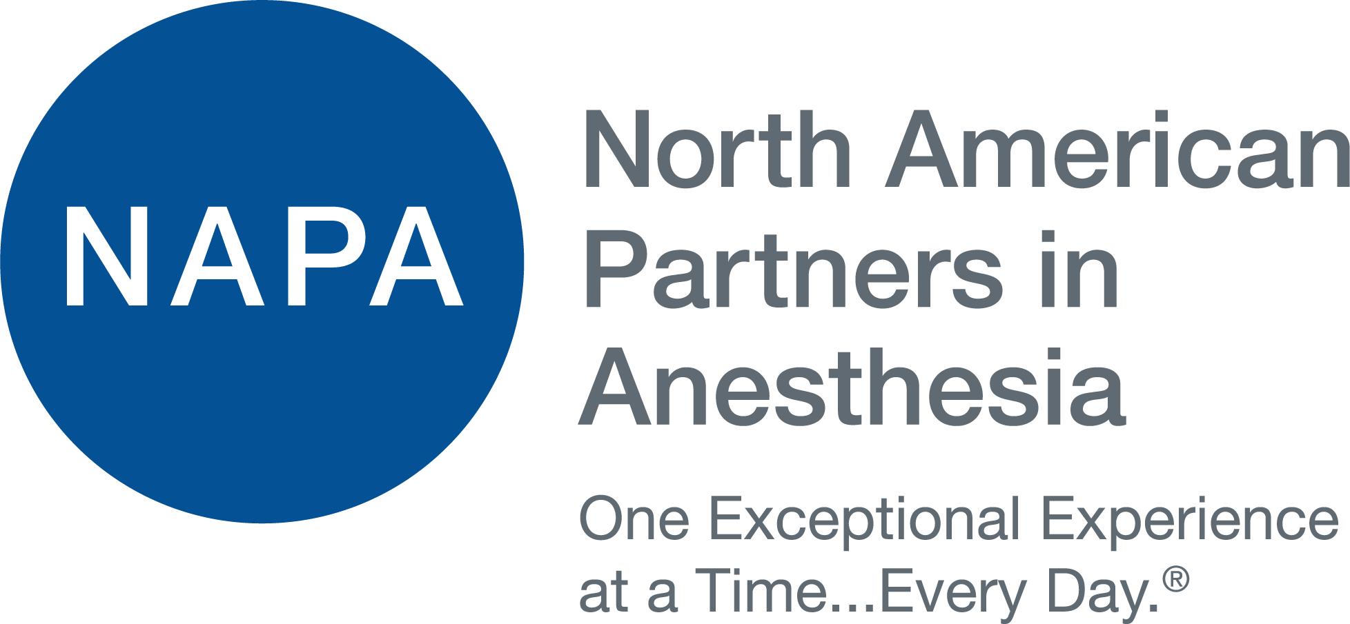 NAPA_Logo_Solid_Blue_Tag