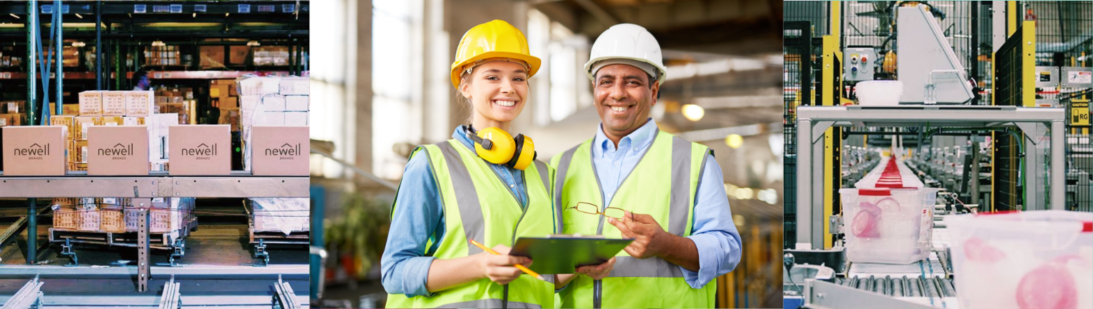 Search Careers