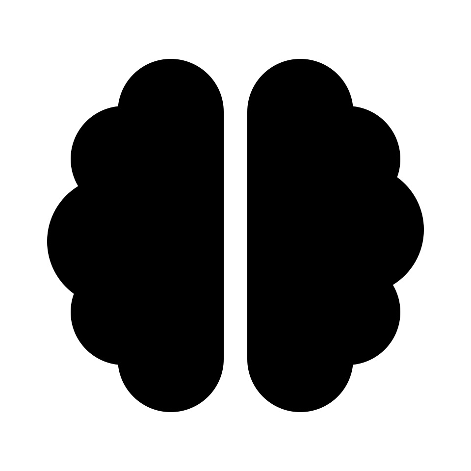 brain