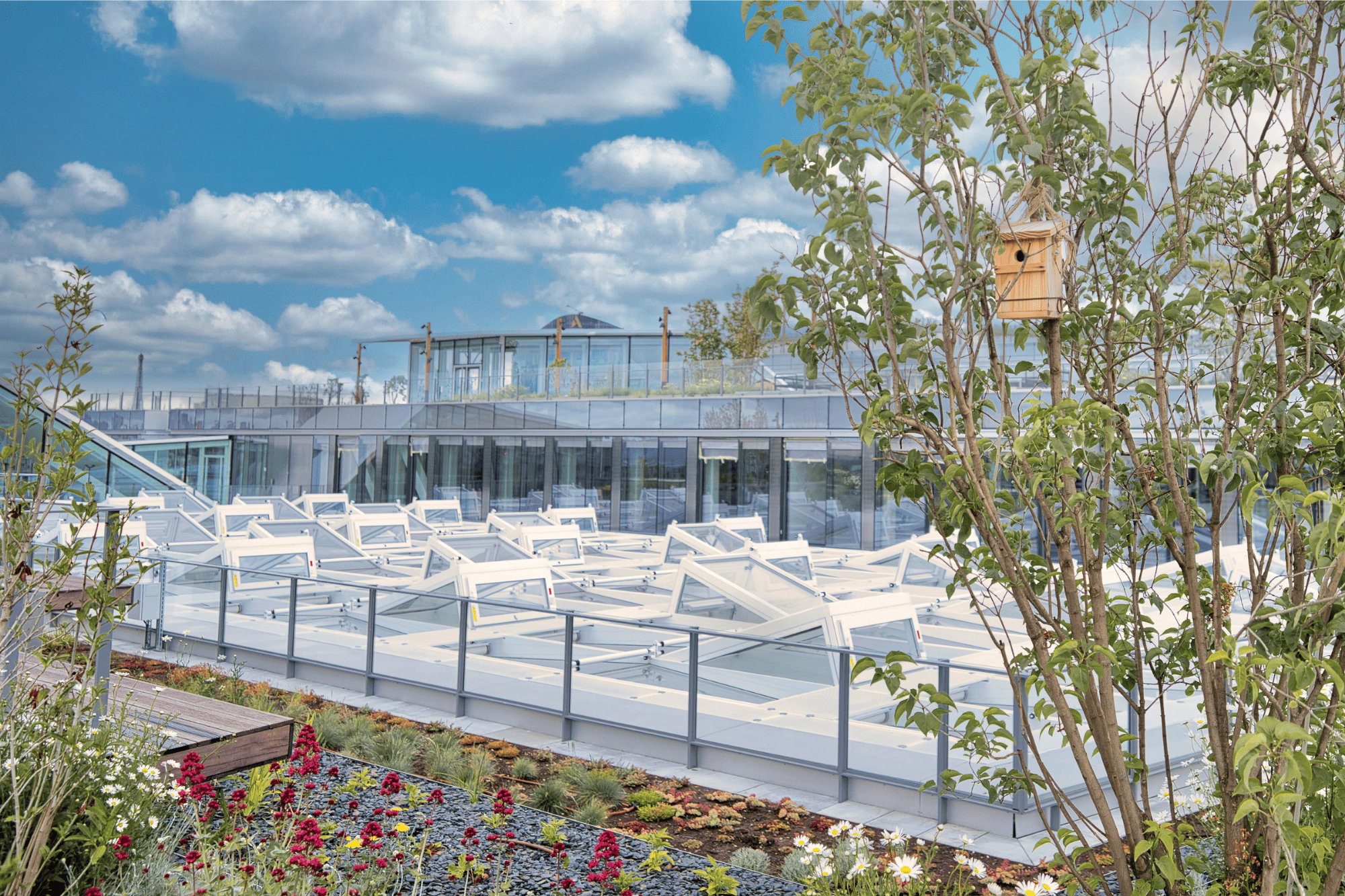 nos-bureaux-orange-bridge-rooftop1