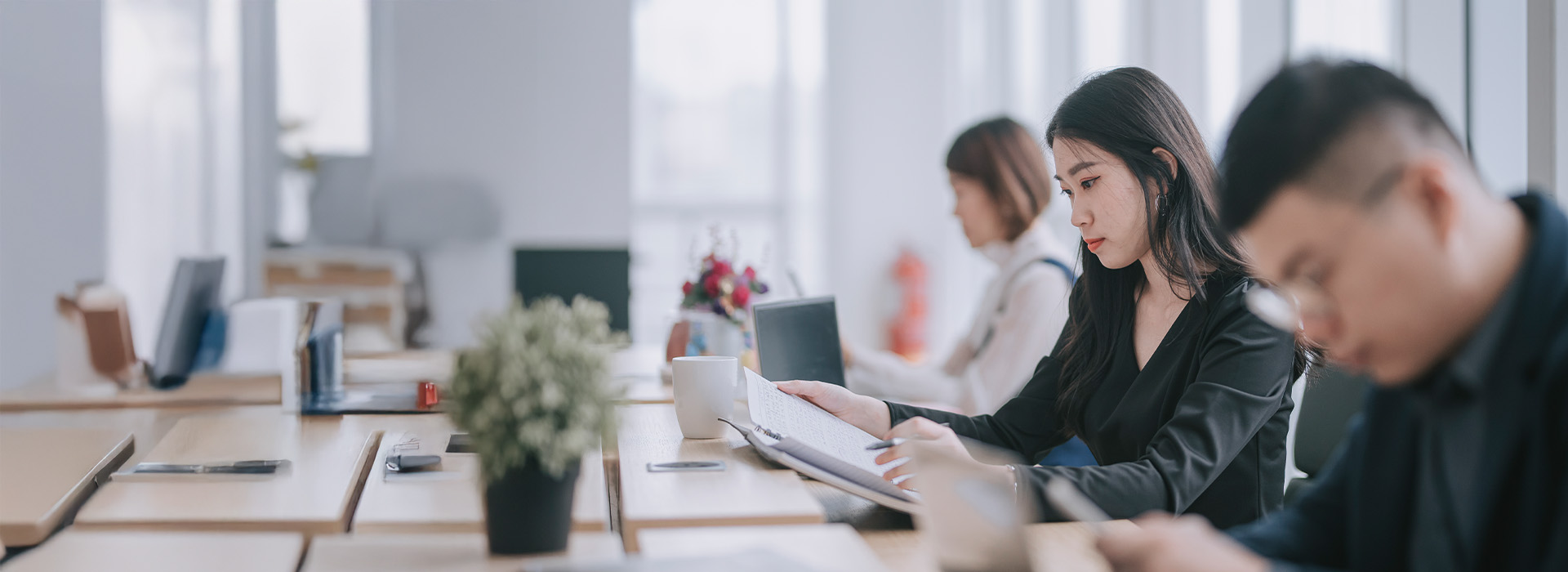  Assessment Process FAQ 