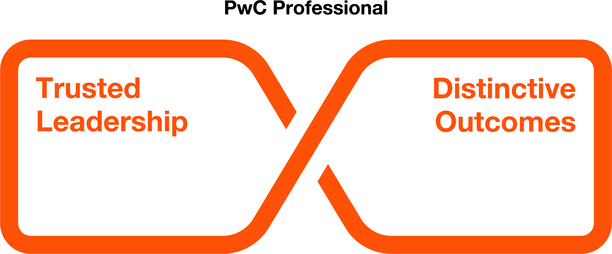 The PwC Professional