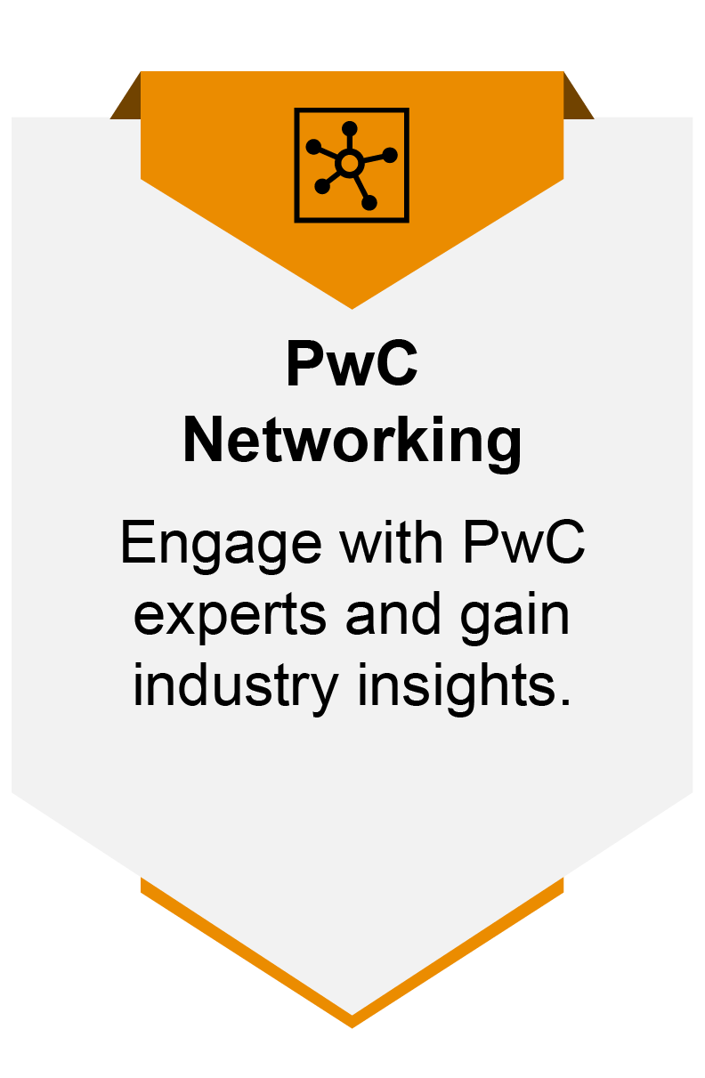 PwCNetworking_Whitepaper