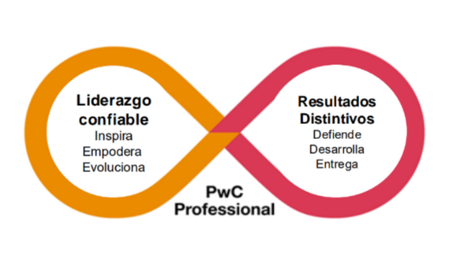 The PwC Professional loop