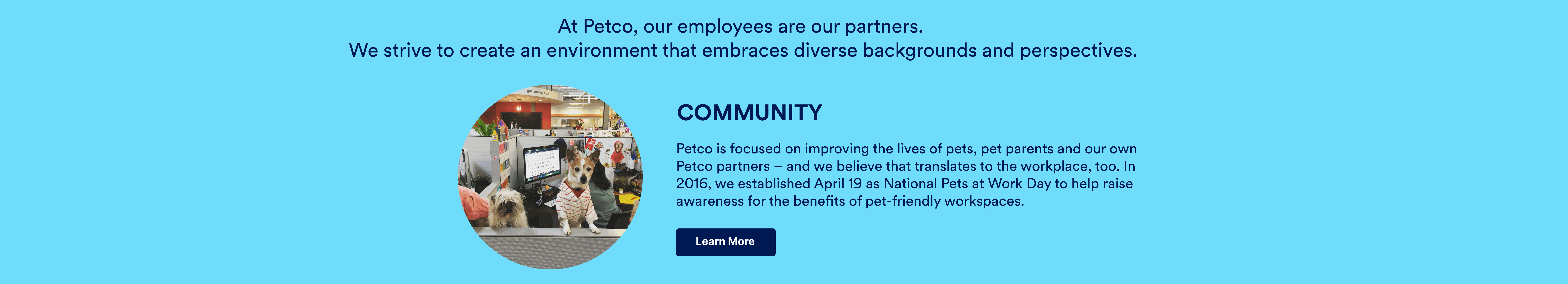 Petco Grooming Jobs
