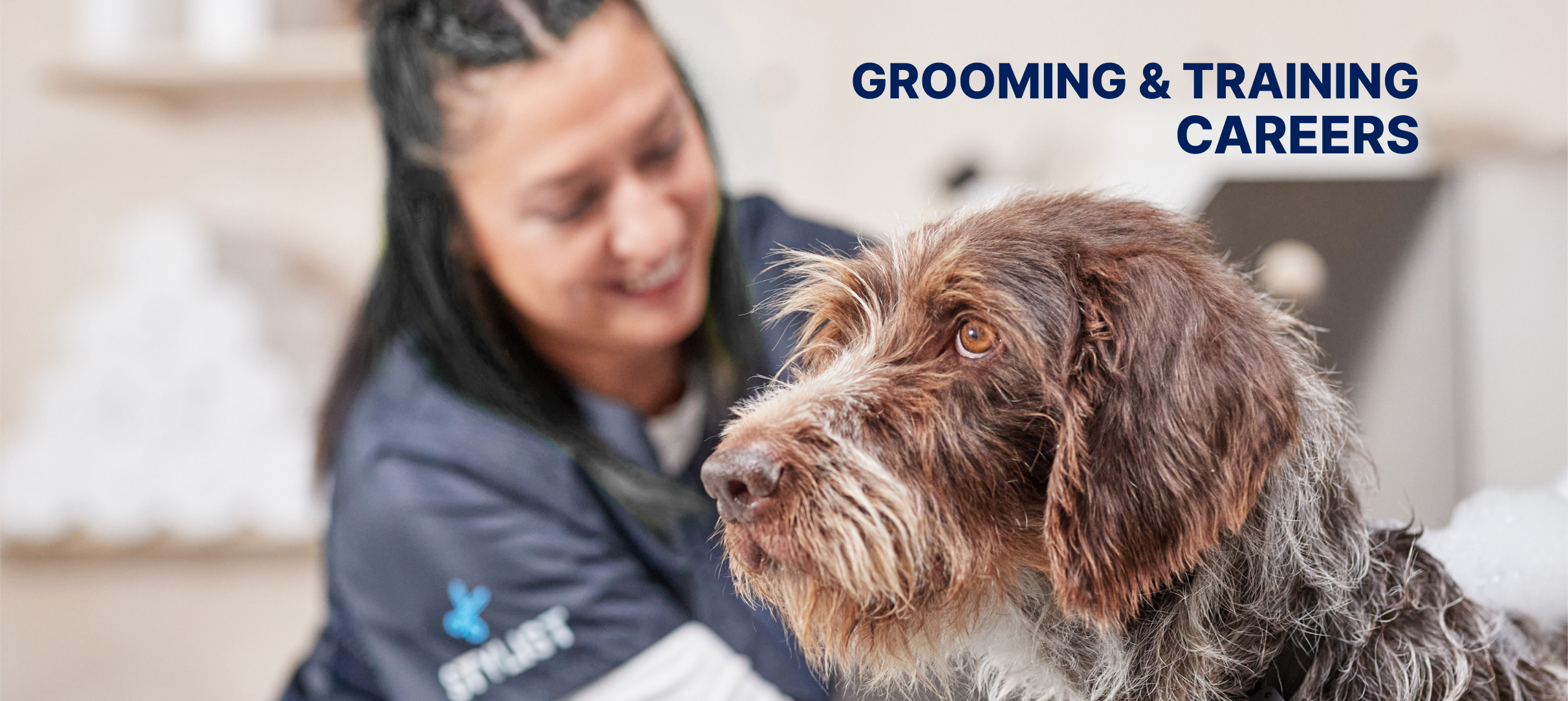 Petco Grooming and Training Careers