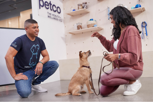 How Much Do Petco Dog Trainers Make