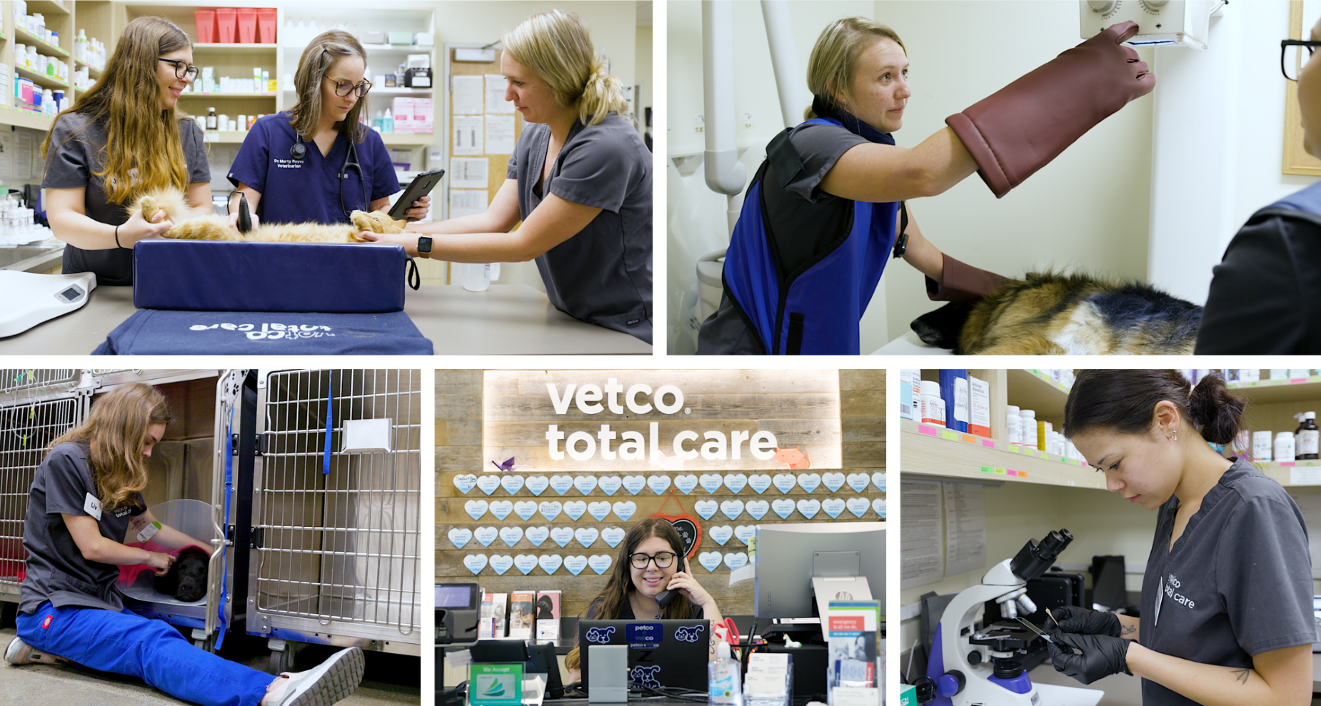 VetTechcollage