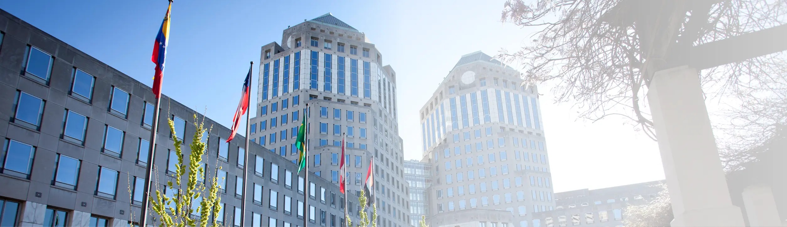 picture of Ariel (P&G brand) and day one logo