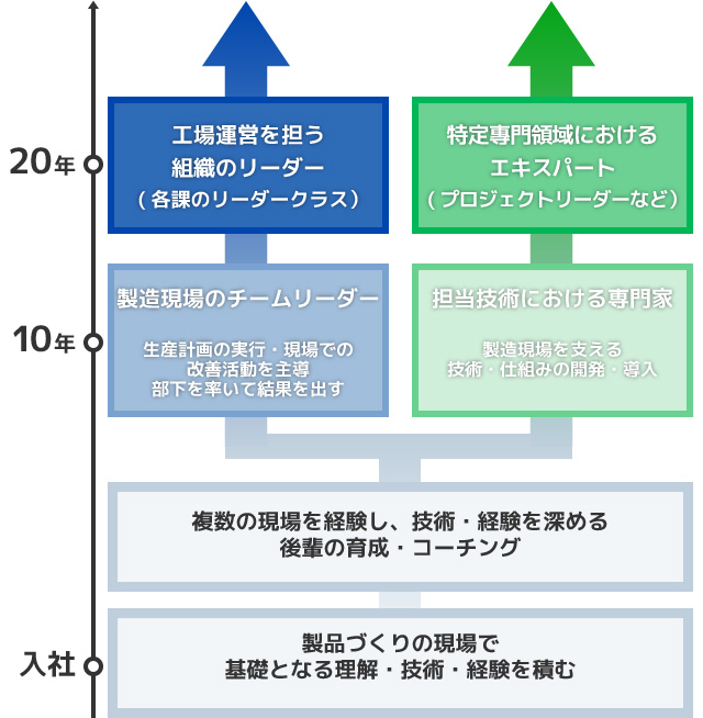 P&Gにおける工場職社員のキャリア