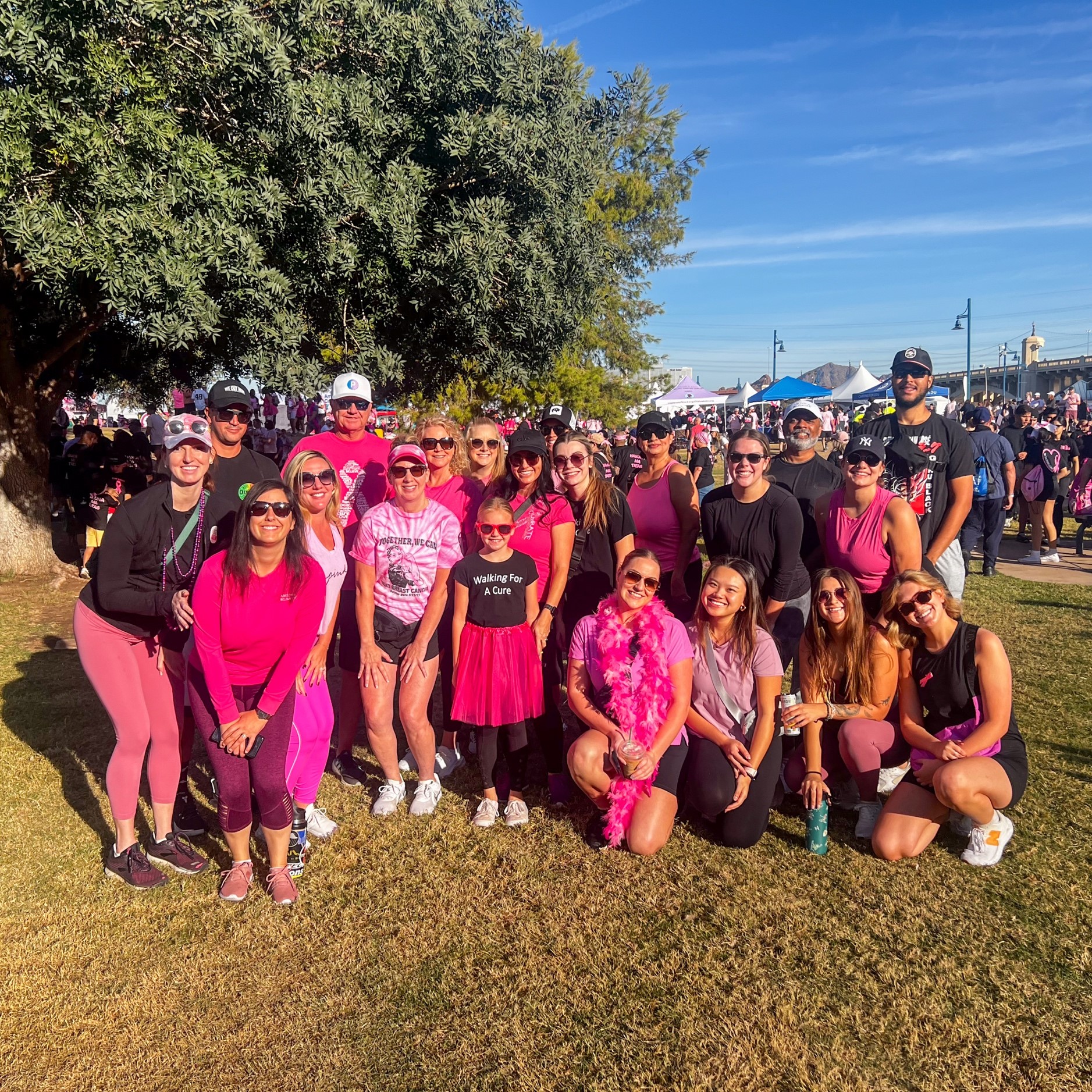 AZBPinkwalk2024