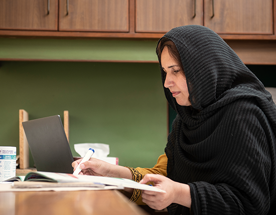 LadyinofficePakistan