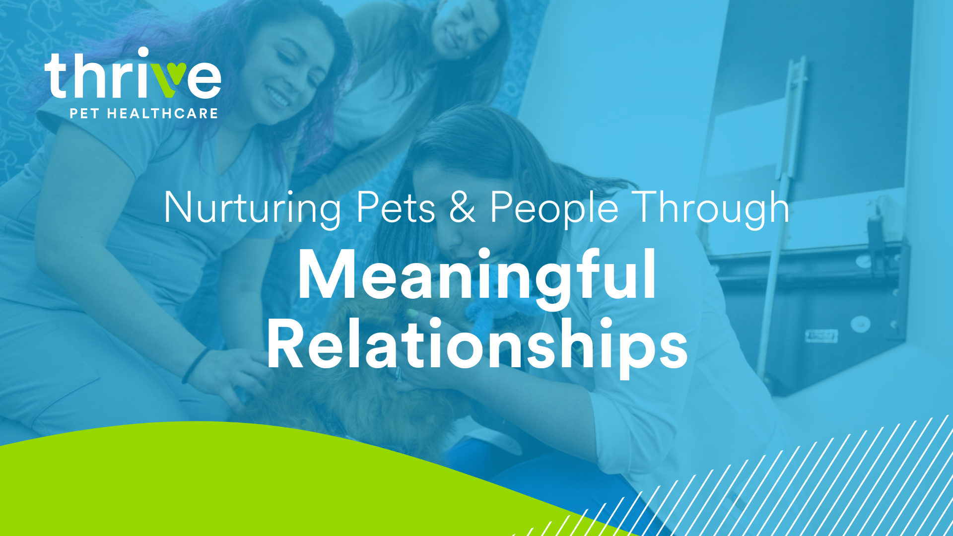 Veterinary Medical Director job in Austin, Texas, 78751 | Medical  Leadership jobs at Thrive Pet Healthcare