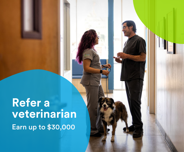 Team Members | Thrive Pet Healthcare