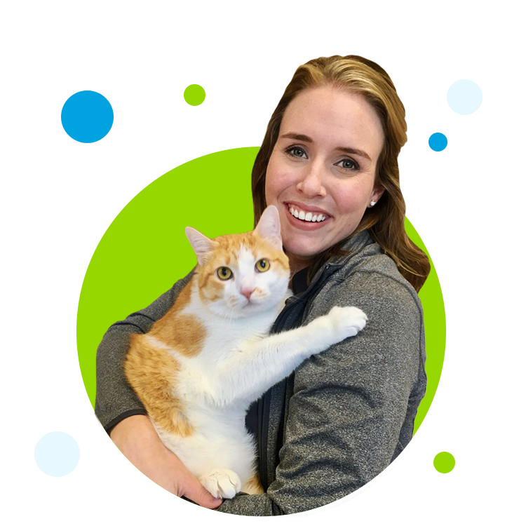 veterinary professional holding a cat