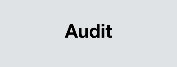Audit