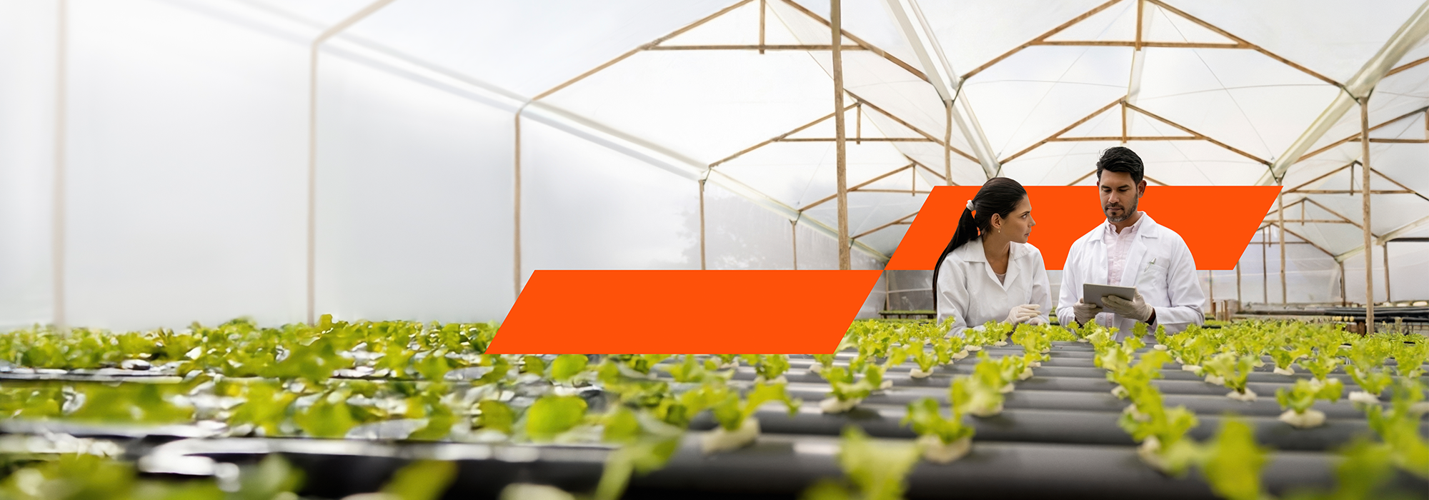 Focus_2000x700Sustainability