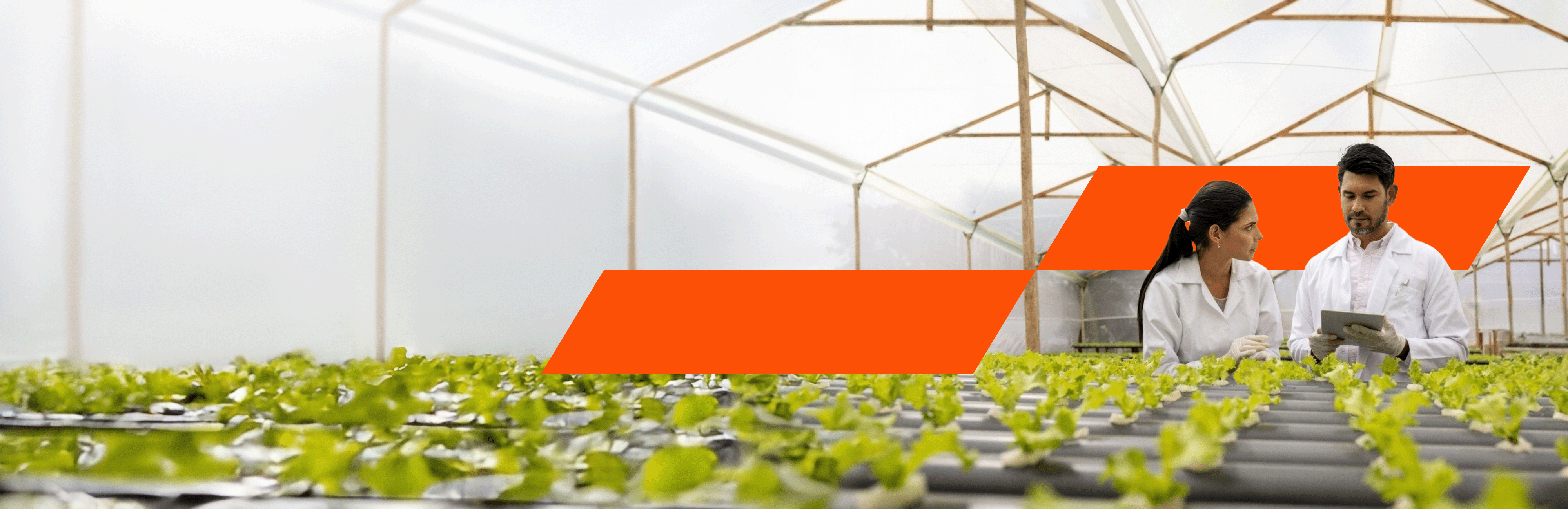 Header_Fachbereich_Sustainability