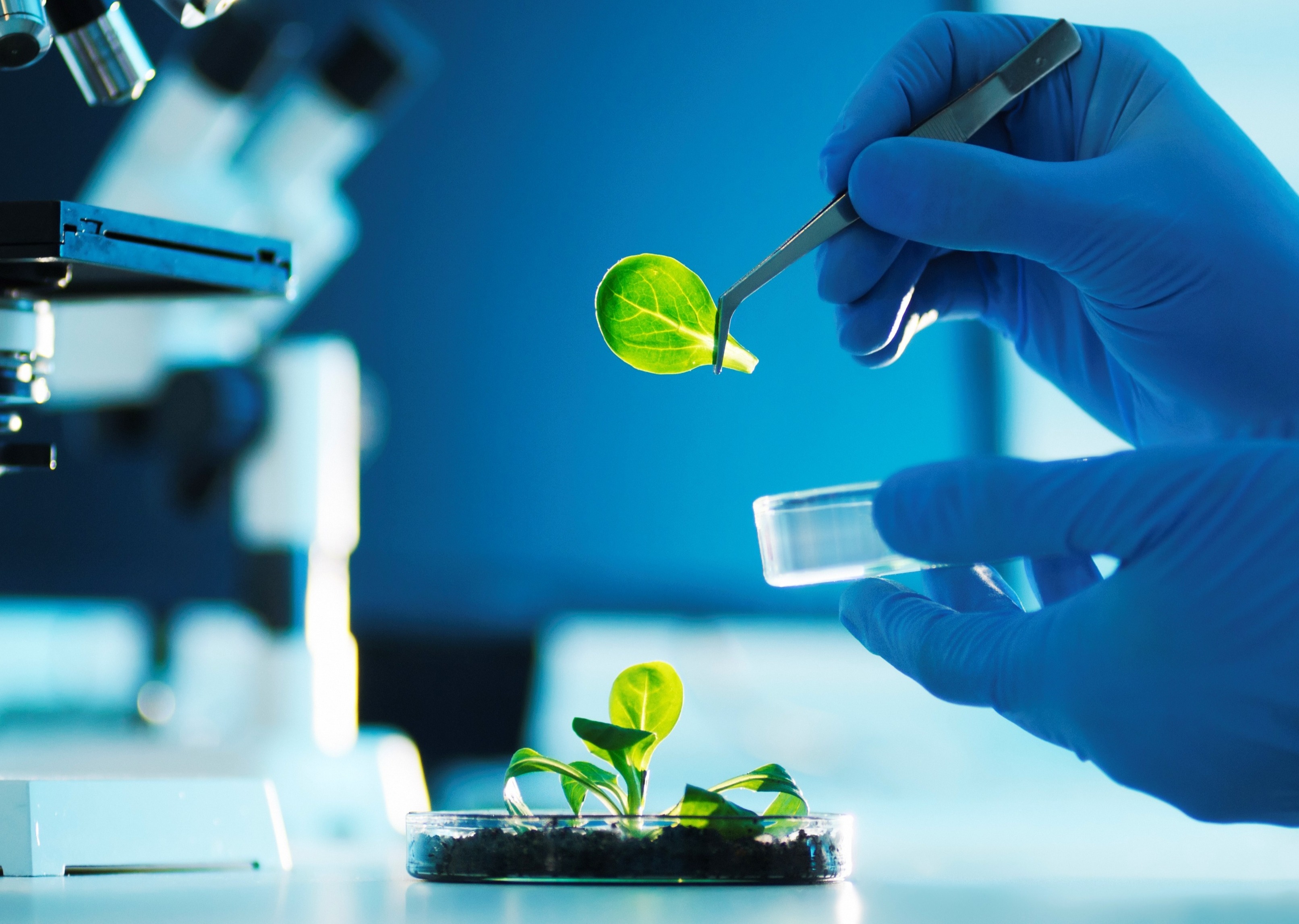 GettyImages-500046275.jpg_cq5dam.1600