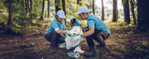 Three people picking up trash in the forest