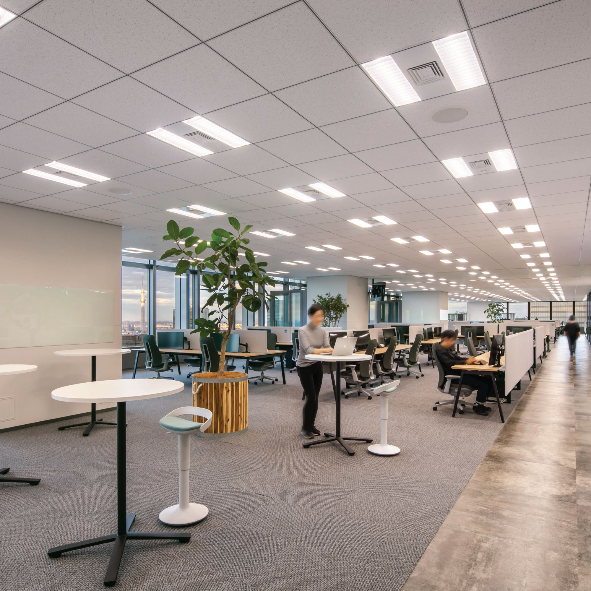 JapanMainOffice