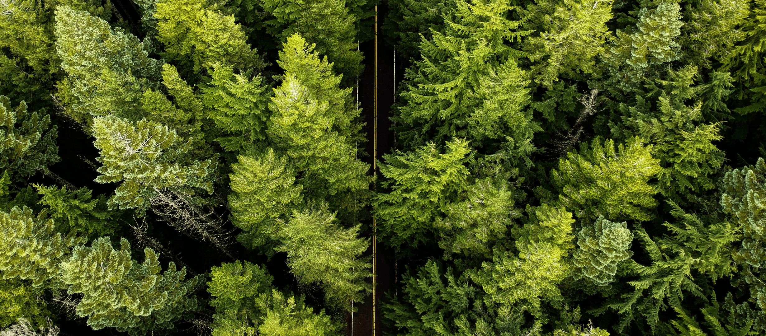 TC_MarketSpotlightPages_PDX